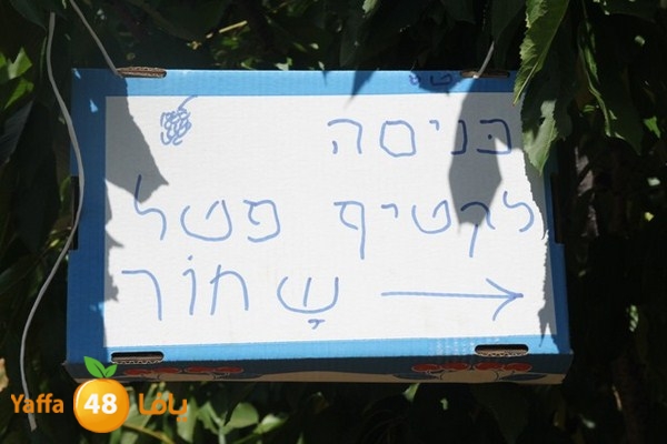 bayareq re7la shamal 0612 (98).JPG